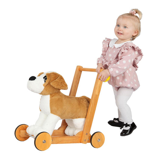 Walking assistance dog Bernard-0